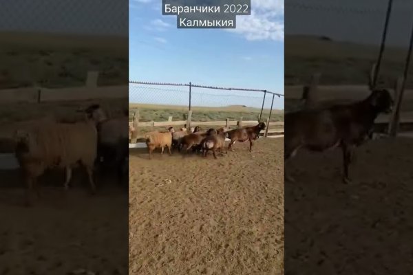 Кракен нет