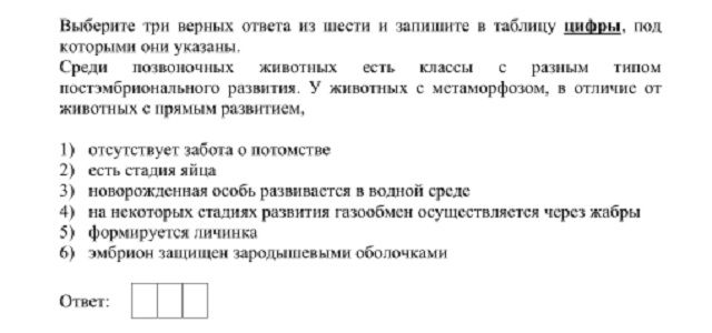 Кракен маркет только через тор