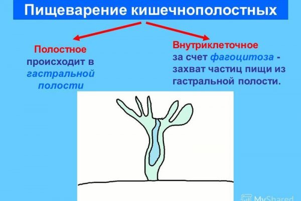 Кракен маркет что
