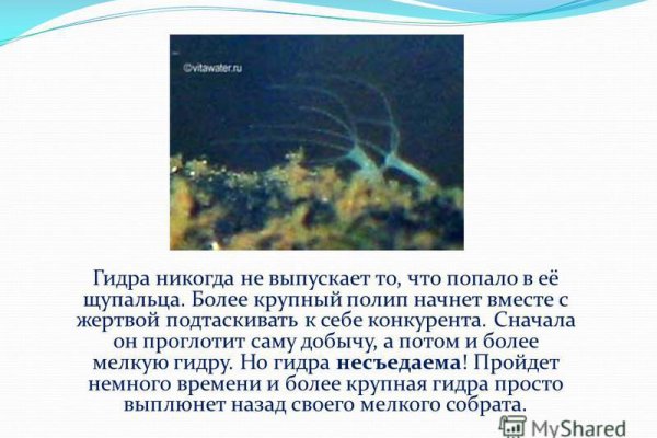Кракен как зайти ссылка