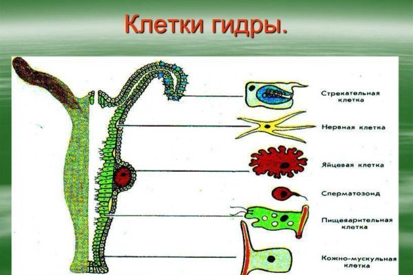 Реальные ссылки кракен