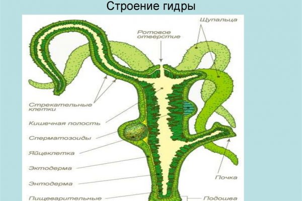 Кракен закладки