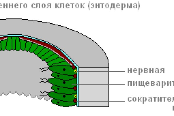 Кракен тор