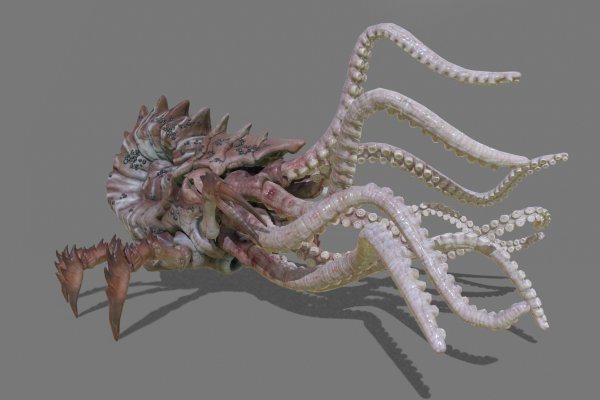 Kraken darknet marketplace