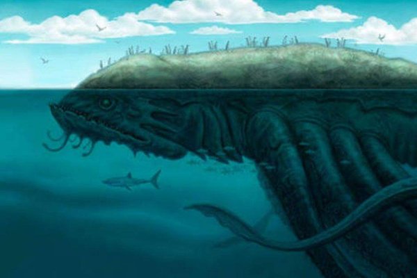 Kraken market