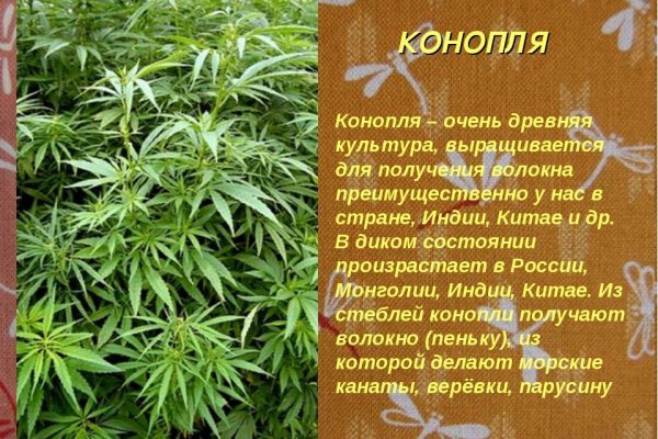 Кракен ссылка зеркало