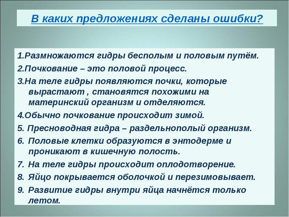 Kraken официальный сайт вход